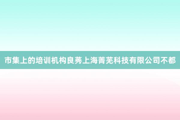 市集上的培训机构良莠上海菁芜科技有限公司不都